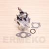 Carburator motor BRIGGS & STRATTON non OEM 796608