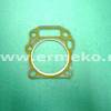 Garnitura chiuloasa MTD OHV500