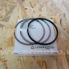 Set segmenti STD motor ACME AL290