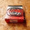 Set segmenti STD motor BRIGGS & STRATTON 591976