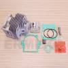Set motor 44mm (cilindru complet) motocoasa DAC310, Valcor 310, Expert 67