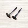 Set supape (admisie + evacuare) motor LONCIN LC175F-2 (8CP)