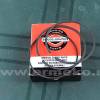 Set segmenti STD motor BRIGGS & STRATTON - 698375