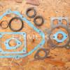 Set garnituri motor BRIGGS & STRATTON 798800