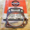 Garnitura chiuloasa motor BRIGGS & STRATTON 590606