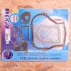 Set garnituri - BRIGGS & STRATTON