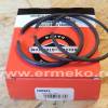 Set segmenti cota I reparatie BRIGGS & STRATTON