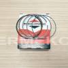 Set segmenti STD motor BRIGGS & STRATTON 843793